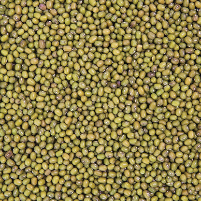 Organic Mung Bean Sprouting Seed