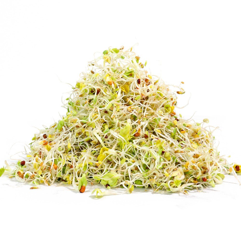 Organic Salad Mix Sprouting Seed