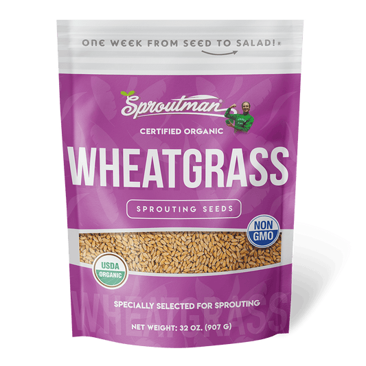 Organic Wheatgrass Sprouting Seed