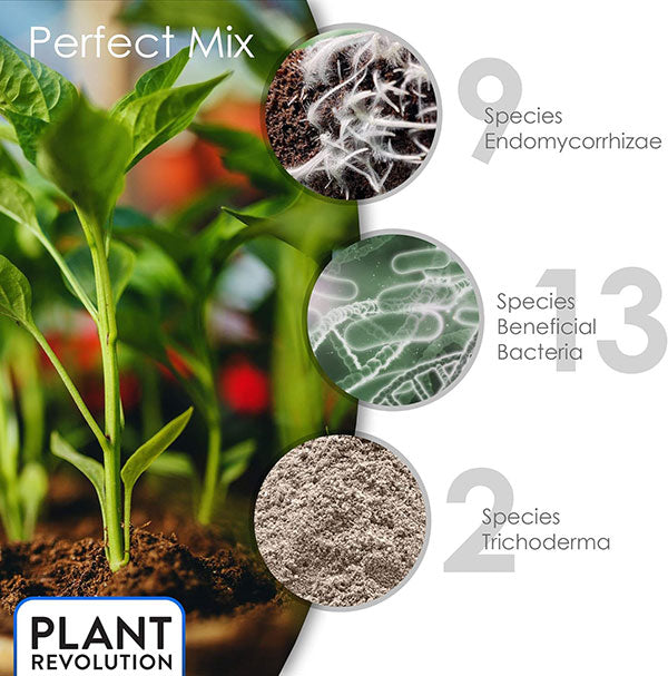 Plant Success™, Great White Premium Mycorrhizae® (5 lbs.)