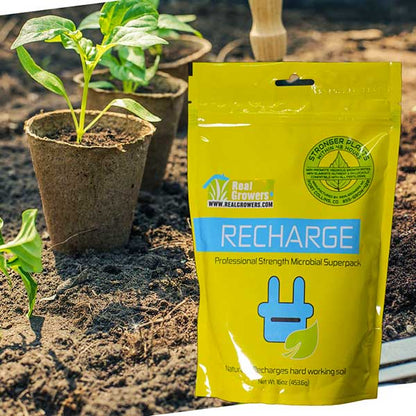 Real Growers Recharge Instant Compost Tea Bag Next To Starter Plug Plant