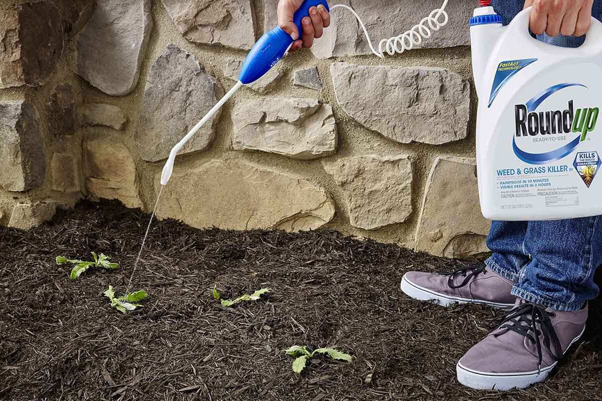 Roundup Weed and Grass Killer III with Comfort Wand in Garden Working