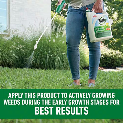 Roundup® For Lawns₁ Ready-To-Use with Extend Wand