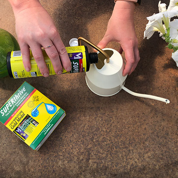 Customer using SUPERthrive and pouring into garden water can