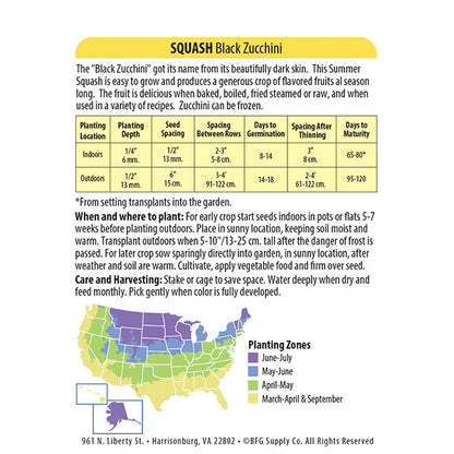 Wetsel Seed™ Organic Black Zucchini Squash Seed