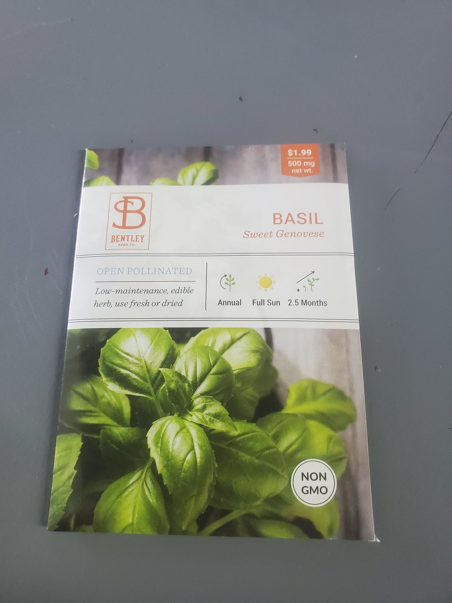 Basil