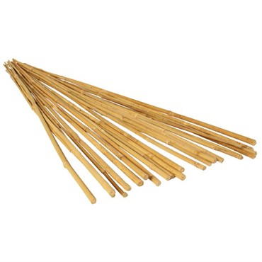 BAMB 6FT BAMBOO STAKE 12-14MM NATURAL 200/BD