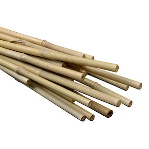 Natural Bamboo Stakes Bulk 4' (50 Pack)