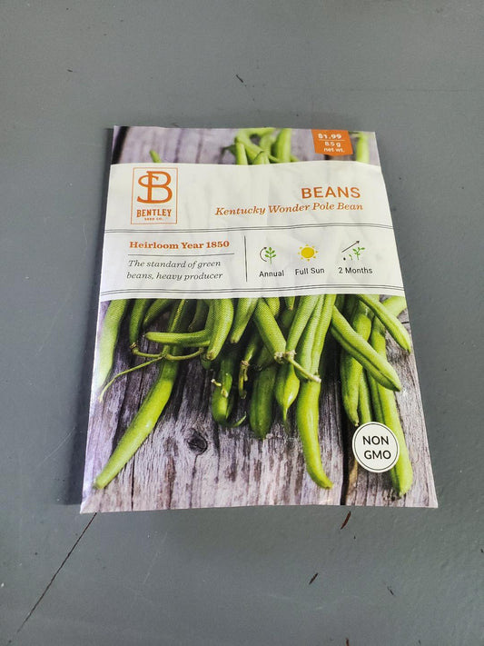 Kentucky Pole Beans