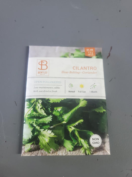 Cilantro