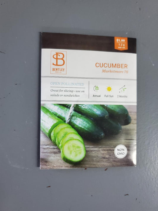 Cucumber